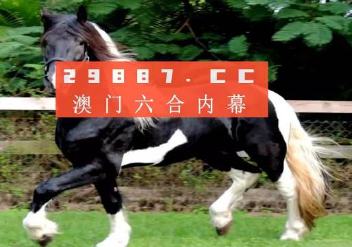 澳门与香港精准一肖一码一一中/全面释义解释与落实展望