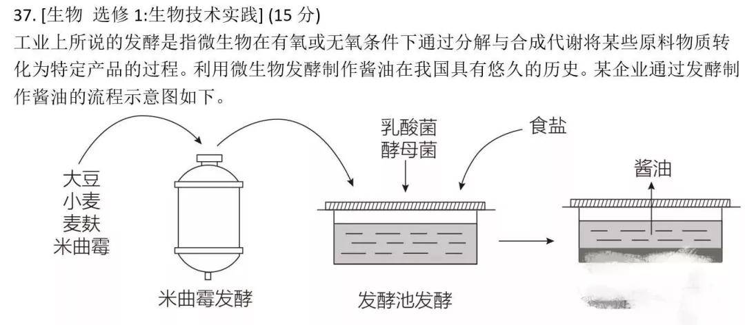 环江自学考试网，开启自学成才的新篇章