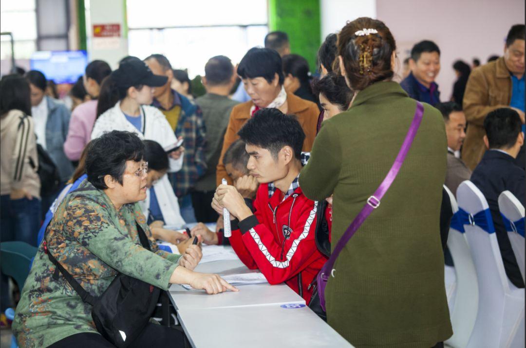 淮上区招聘人才网站电话，打造高效招聘平台，助力企业人才战略